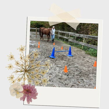 Myssy sessie