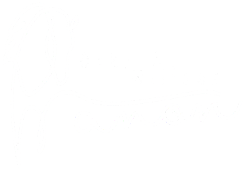 oaks-and-willows-coachen-met-paarden-logo